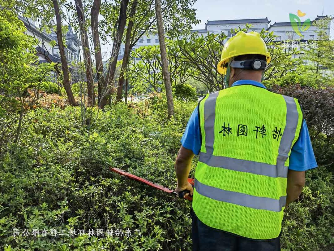 惠州绿色动力厂区日常养护工作